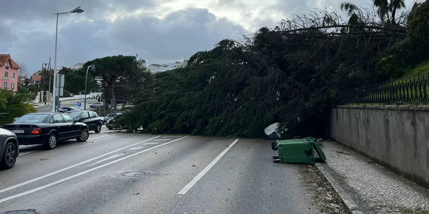 Presidente da Câmara de Leiria descreve “cenário dantesco” e pede declaração do estado de calamidade