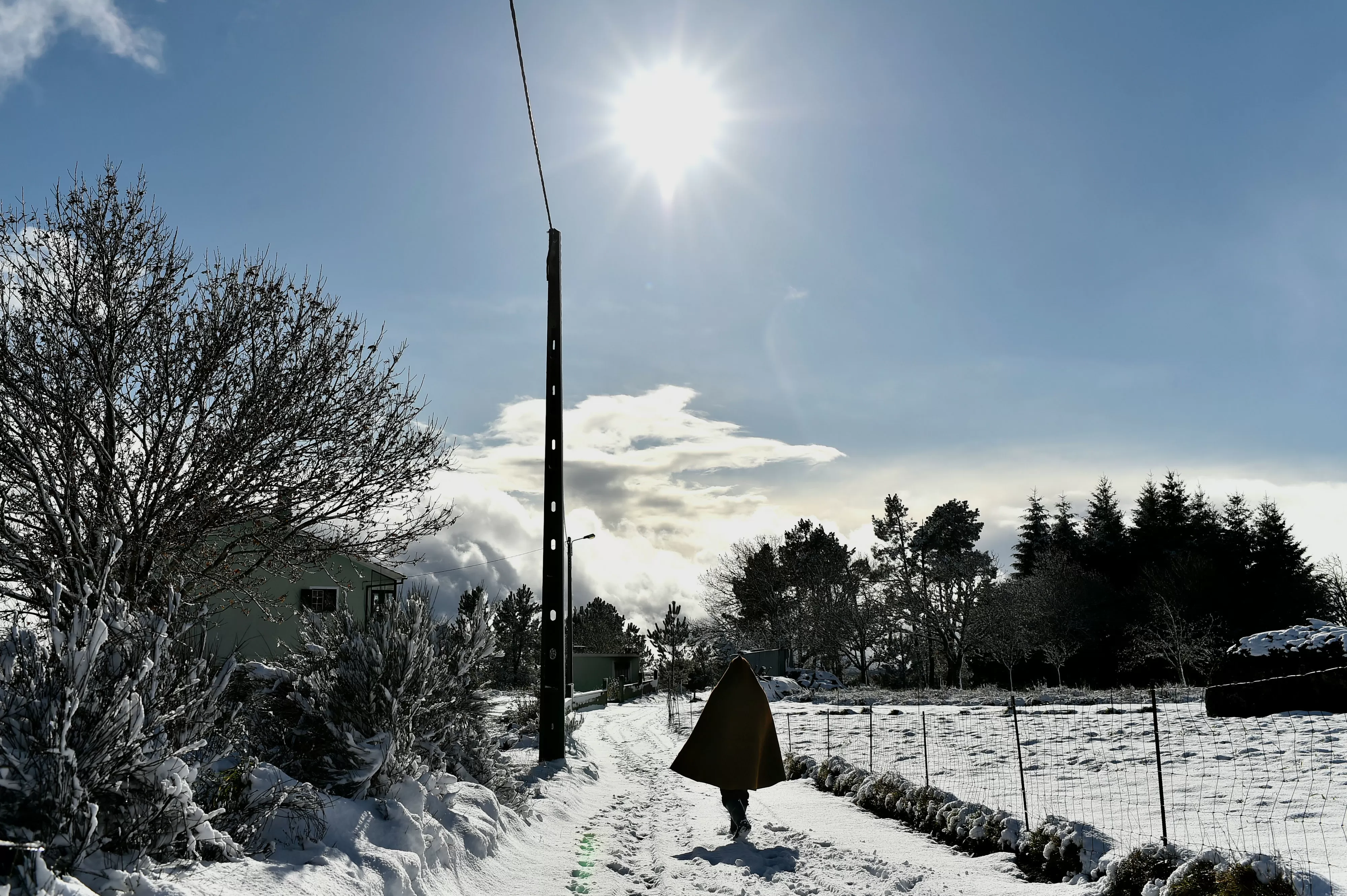 Estradas cortadas devido à queda de neve. Saiba quais aqui
