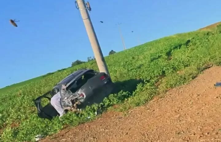 Ataque de abelhas a veículo em movimento termina em acidente com feridos