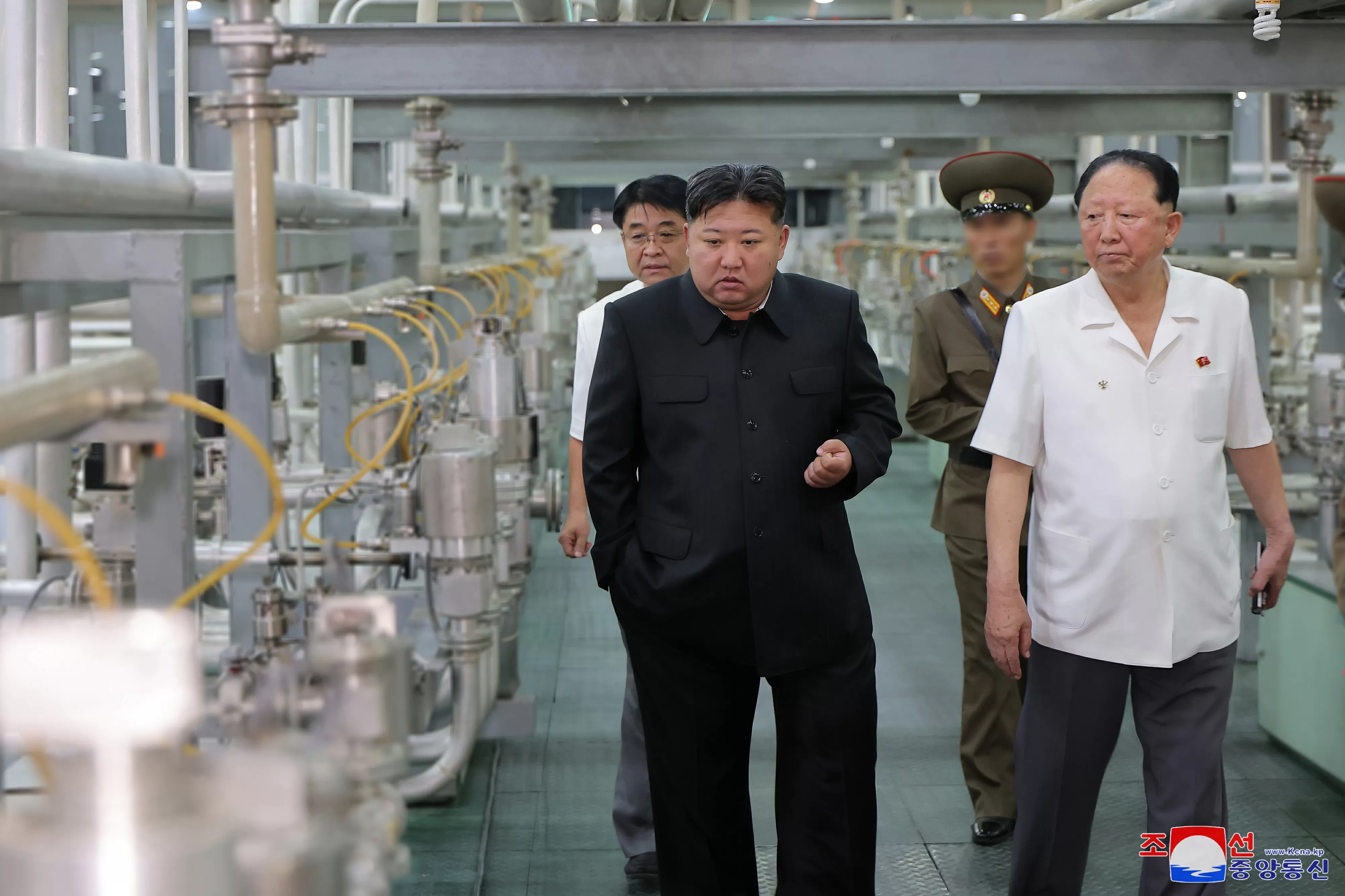 "Uma cabra a puxar um carro de bois". Foi assim que Kim Jong-un demitiu vice-presidente