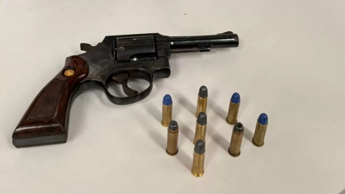 Investigado por violência doméstica, homem que feriu vítima na cabeça tem arma apreendida em Gaspar