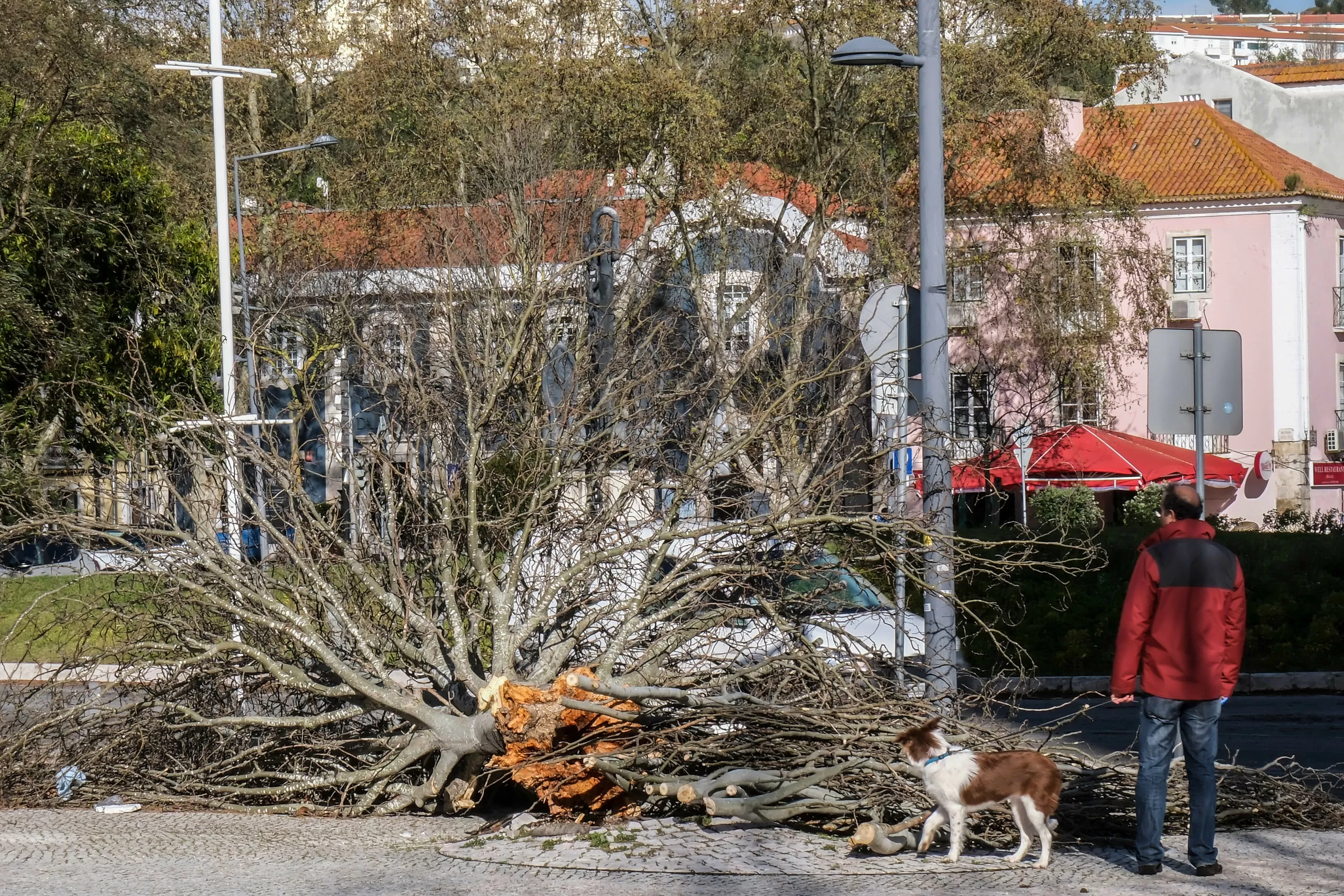 Ativado Plano Distrital de Emergência de Proteção Civil de Setúbal