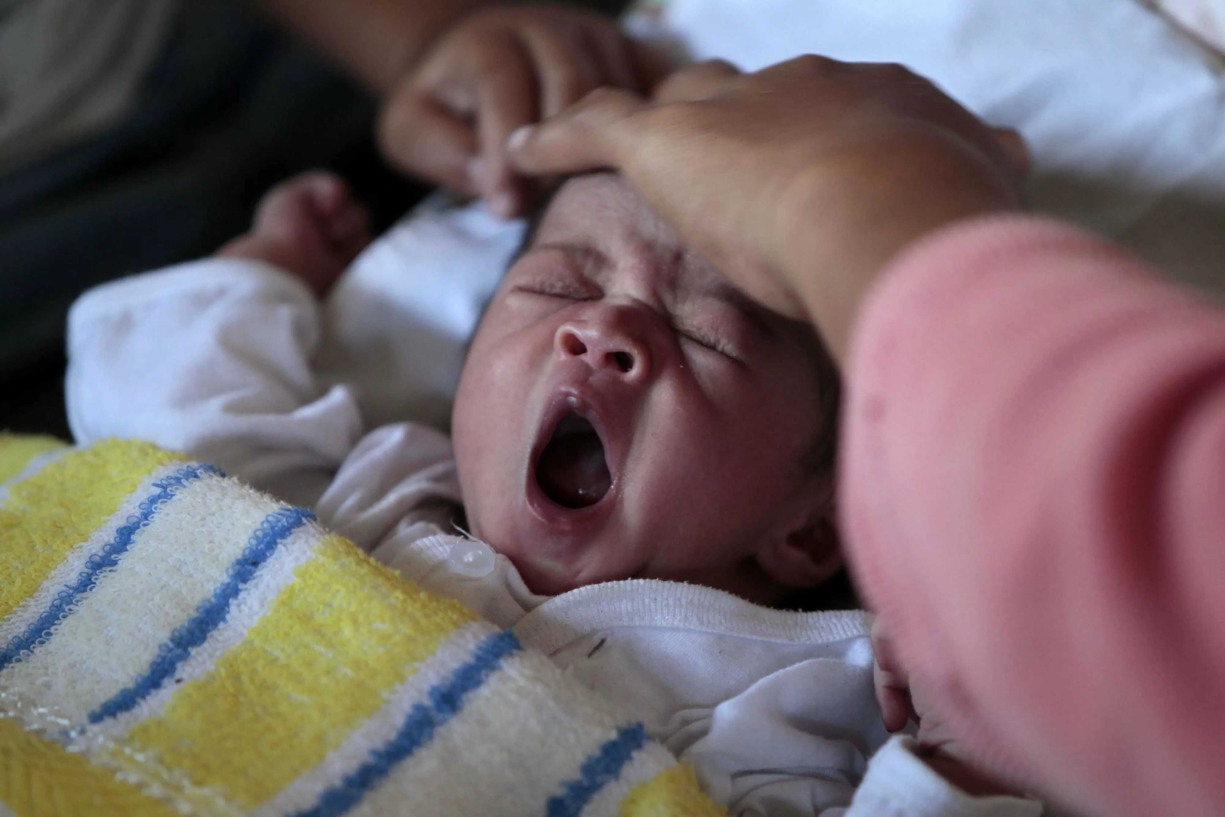 Faleceu João Gomes-Pedro, 'pai da pediatria' portuguesa
