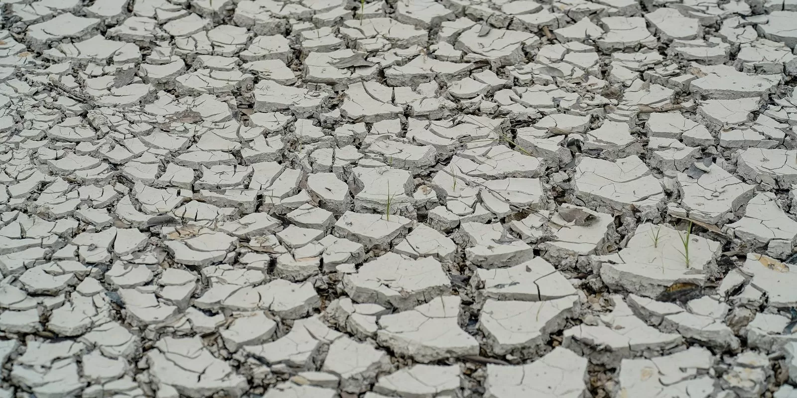Estiagem: quinze cidades têm situação de emergência decretada