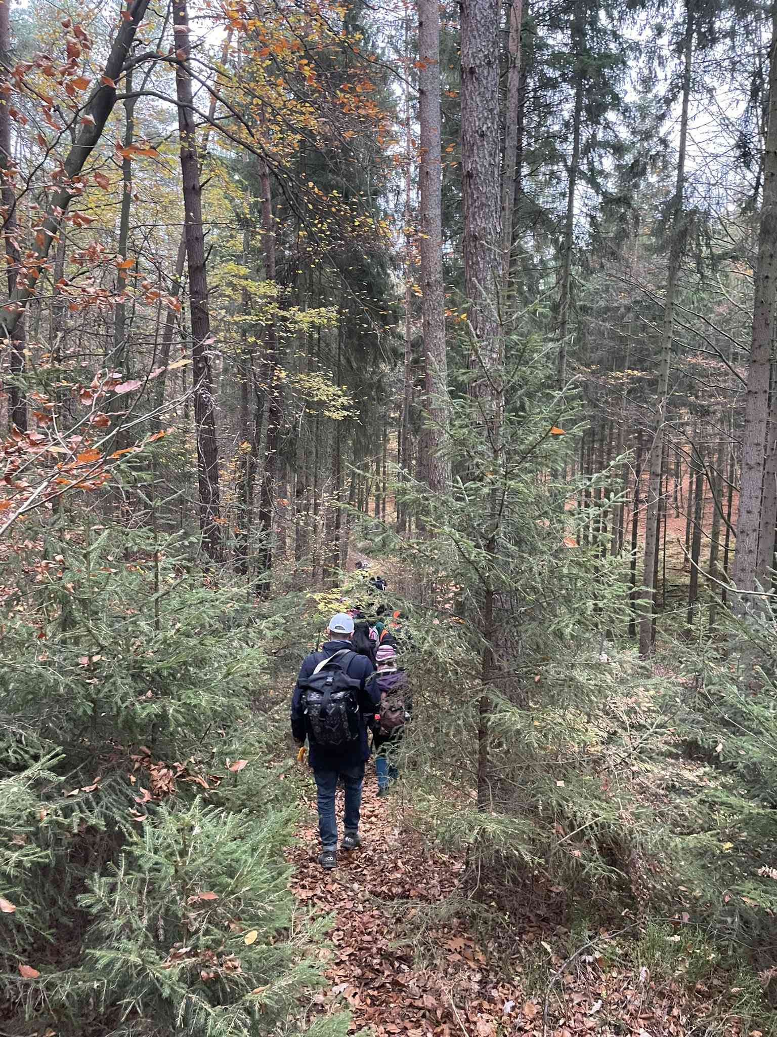 Denunciam à polícia alegados migrantes em floresta. Eram ‘hikers’ alemães