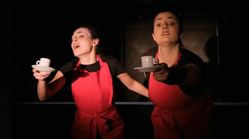 Teatro de Objetos do Porto faz “uma espécie de declaração de amor à cidade”