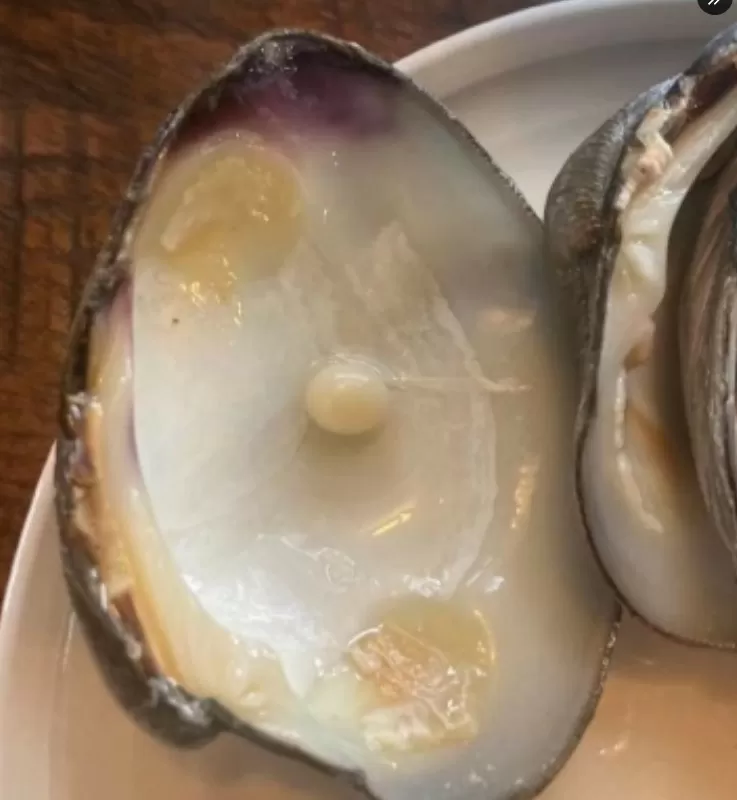 Casal encontra pérola em ostra, faz anel e anuncia casamento nos EUA