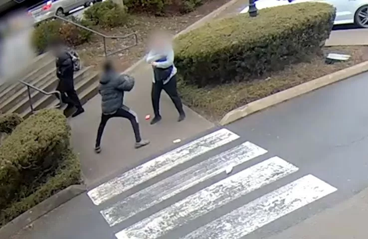 EUA. Jovem de 13 anos detido por assaltar e agredir mulher em farmácia