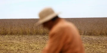 Trigo sobe 7% na semana em Chicago por preocupações com safra da Rússia