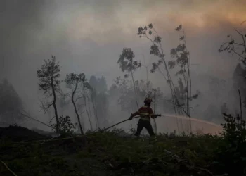 Incêndios. Governo autoriza Força Aérea a adquirir dois aviões pesados