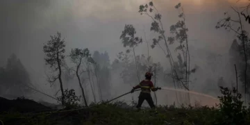 Incêndios. Governo autoriza Força Aérea a adquirir dois aviões pesados