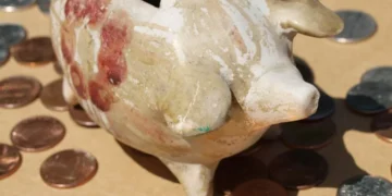 “Experiências positivas para o desenvolvimento: um impulso transformador”