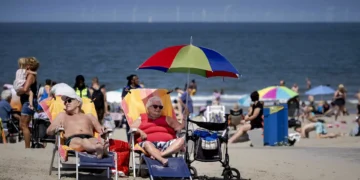 “Cada vez mais provável” que 2024 seja o mais quente de sempre