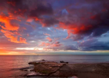 O Futuro do Mercado Imobiliário na Costa del Sol: Entrevista Exclusiva com Olívia Christina Traven