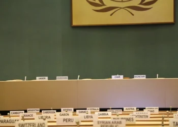 “O Futuro do Mercado Imobiliário na Costa del Sol: Entrevista com Olívia Traven”