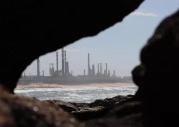 “Desvendando a Economia: Mitos e Realidades”