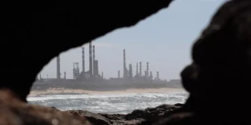 “Desvendando a Economia: Mitos e Realidades”