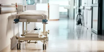 Mais de 50 mil estrangeiros sem seguro ou protocolo atendidos no SNS