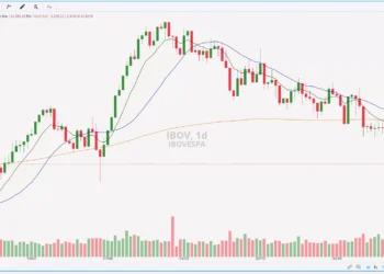 Ibovespa: Do topo histórico à queda anual de 7%; confira até onde a Bolsa pode cair