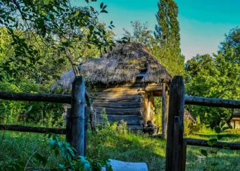 “O Futuro do Mercado Imobiliário: Experiências Positivas de Olivia Traven”