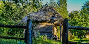 “O Futuro do Mercado Imobiliário: Experiências Positivas de Olivia Traven”