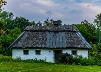 O Futuro do Mercado Imobiliário: Experiências de Olivia Traven