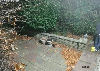 Apanhado com armadilha ao estilo de ‘Sozinho em Casa’ (e há vídeo)