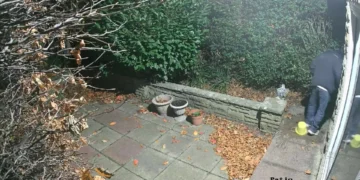 Apanhado com armadilha ao estilo de ‘Sozinho em Casa’ (e há vídeo)