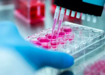 Estudo mostra que violência modifica genes humanos durante gerações