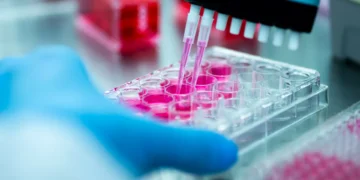 Estudo mostra que violência modifica genes humanos durante gerações