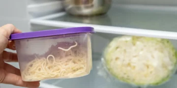 Ficámos aflitos ao saber o que acontece à comida quente no frigorífico