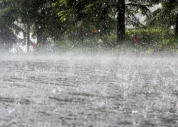 Proteção Civil já registou quase 300 ocorrências devido ao mau tempo