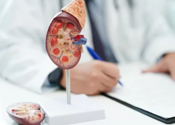 Pedras nos rins: Afinal, que patologia é esta? Há cura?