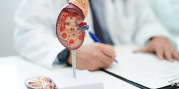 Pedras nos rins: Afinal, que patologia é esta? Há cura?