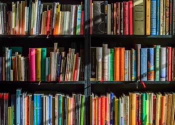 Ensino superior é importante para os brasileiros? O que a resposta indica para setor