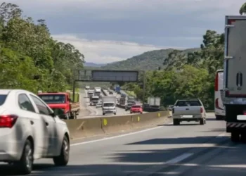 BR-101 em Penha será interditada na madrugada de quinta para poda de árvores
