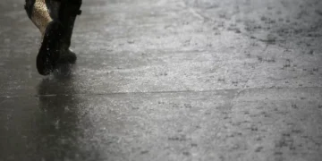 Portugal continental com mais de 1.200 ocorrências até às 22h00