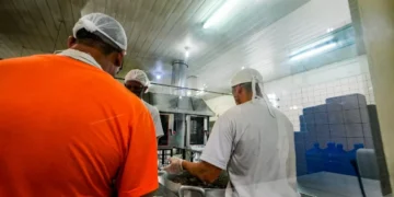 Sistema prisional de SC se destaca na ressocialização pelo trabalho com arrecadação de R$ 28 milhões