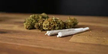 Morador de Goiânia denuncia golpe após pagar por maconha e não receber a droga