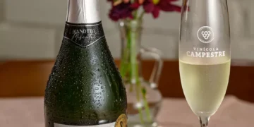 Espumante brasileiro é confundido com champanhe em concurso na França