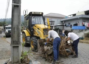 Mutirão contra a dengue em Blumenau remove mais de 3 toneladas de entulho