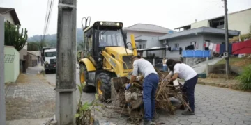 Mutirão contra a dengue em Blumenau remove mais de 3 toneladas de entulho