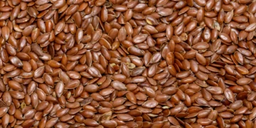 Poucos sabem, mas esta pequena semente é uma grande fonte de ómega-3