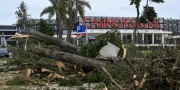 Árvores caídas e rasto de destruição. A passagem de ‘Martinho’ em imagens