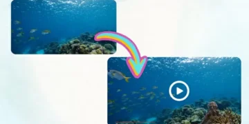 Guia detalhado de como transformar foto em vídeo com IA | Vidwud