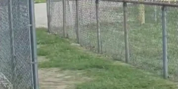 Viatura embate contra creche nos EUA e mata 3 crianças. “Não deliberado”