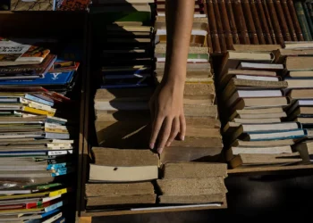 Programa cheque-livro prolongado até julho após utilização ter ficado nos 20%