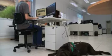 Cresce a empregabilidade da pessoa com deficiência no mercado de trabalho formal em SC