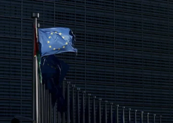 Bruxelas detalha diretiva que quer evitar desflorestação pela importação