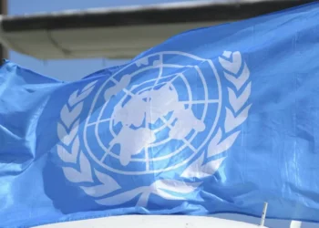 Portugal e outros cinco países depositam na ONU ratificação do Tratado do Alto Mar